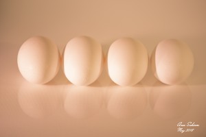 White Egg On Canvas warm light version